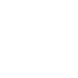 Play Therapy/Child Therapy