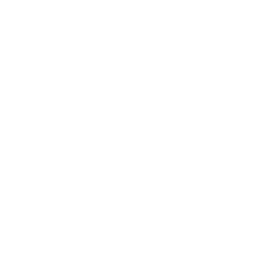 Psychological Services/Assessments