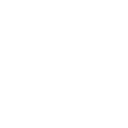 Couples / Relationship Therapy