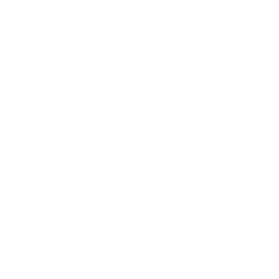 Counselling & Psychotherapy for Adults